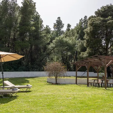 Sani Dream Villa, Sani #feelslikehome Elani
